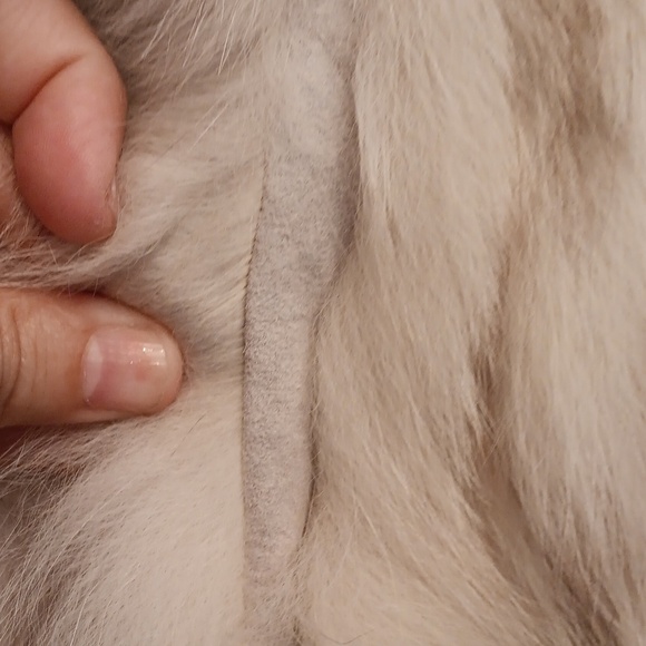 Saga Fox Vintage Elegant Fur Coat Size Small - Picture 6 of 17